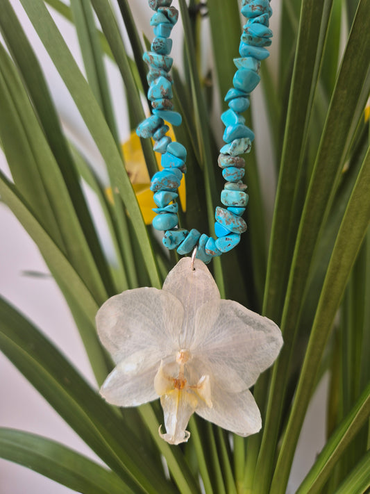 Colgante orquídea Dentrobium