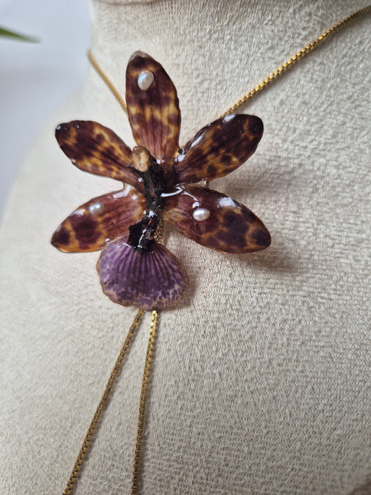 Colgante regulable de orquídea Cambria
