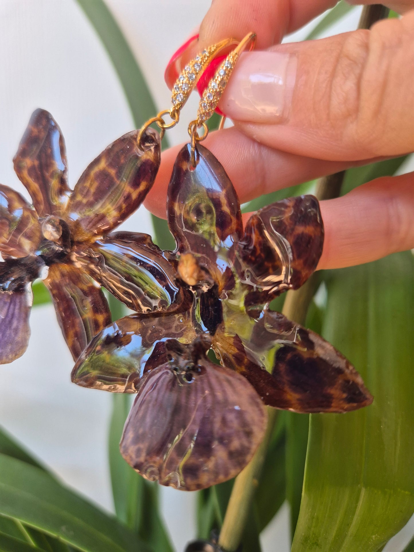 Pendientes orquídea Zygopetalum