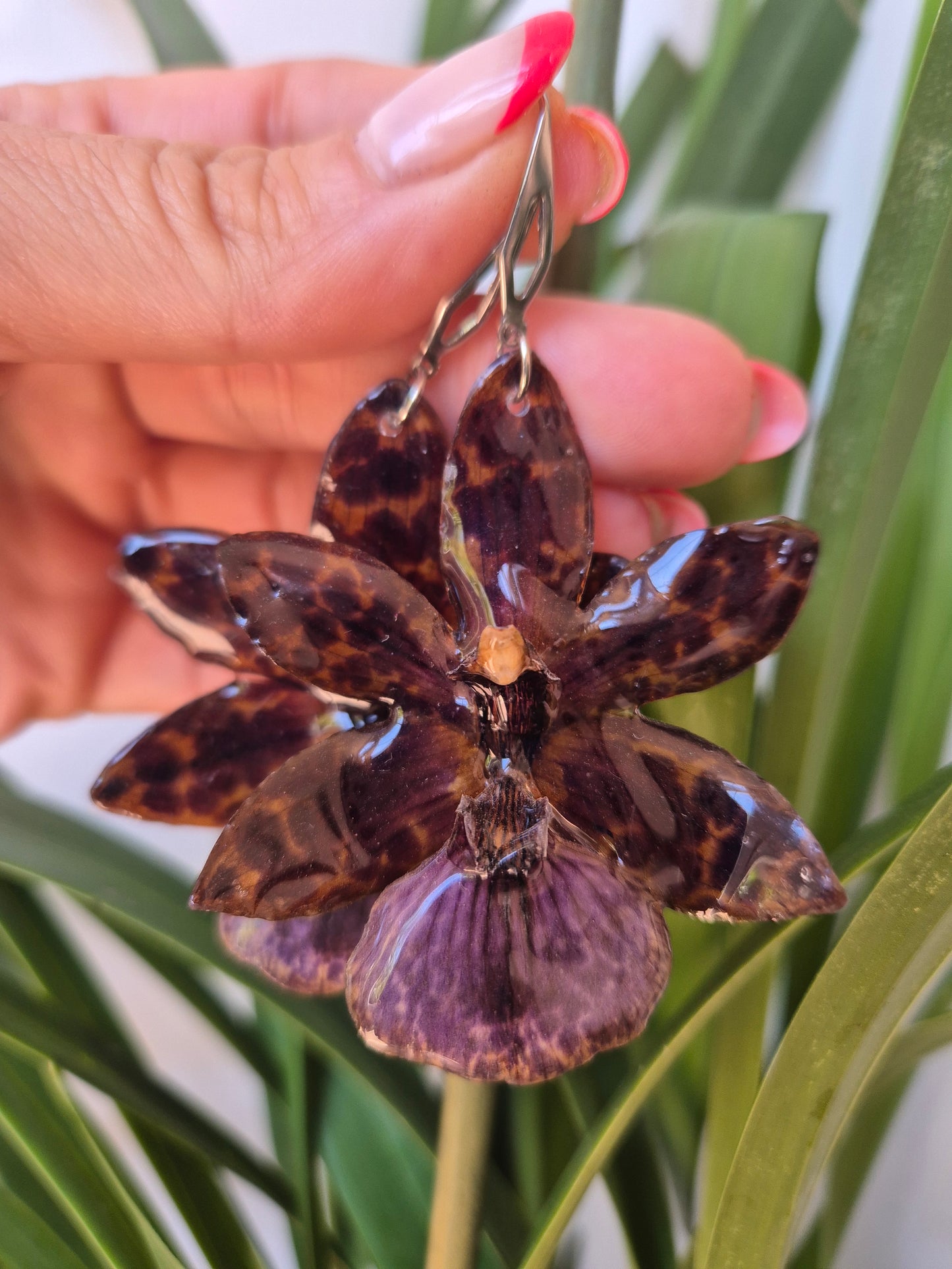 Pendientes orquídea Zygopetalum