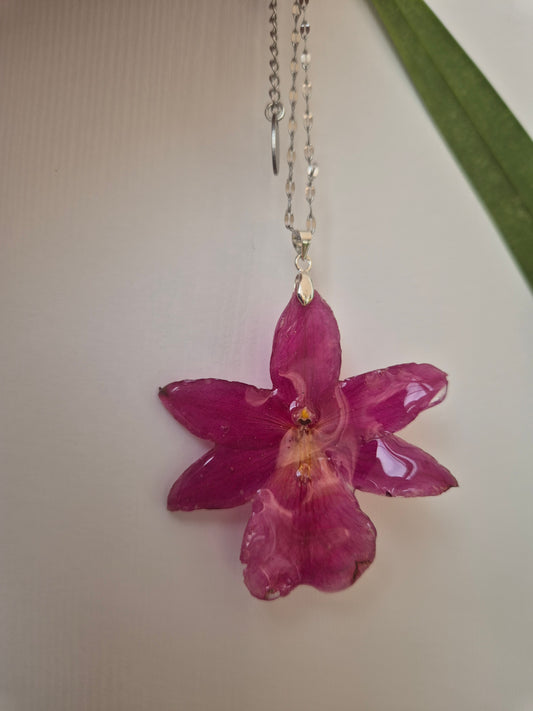 Colgante Orquídea Cambria Fucsia