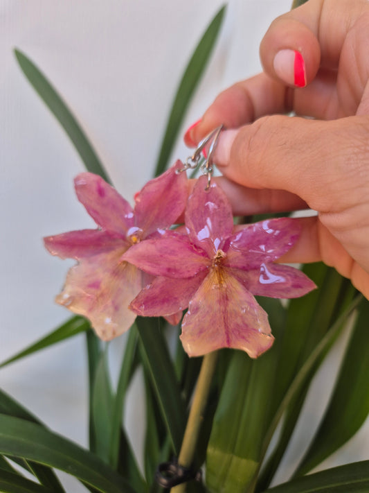 Pendientes orquídea rosa