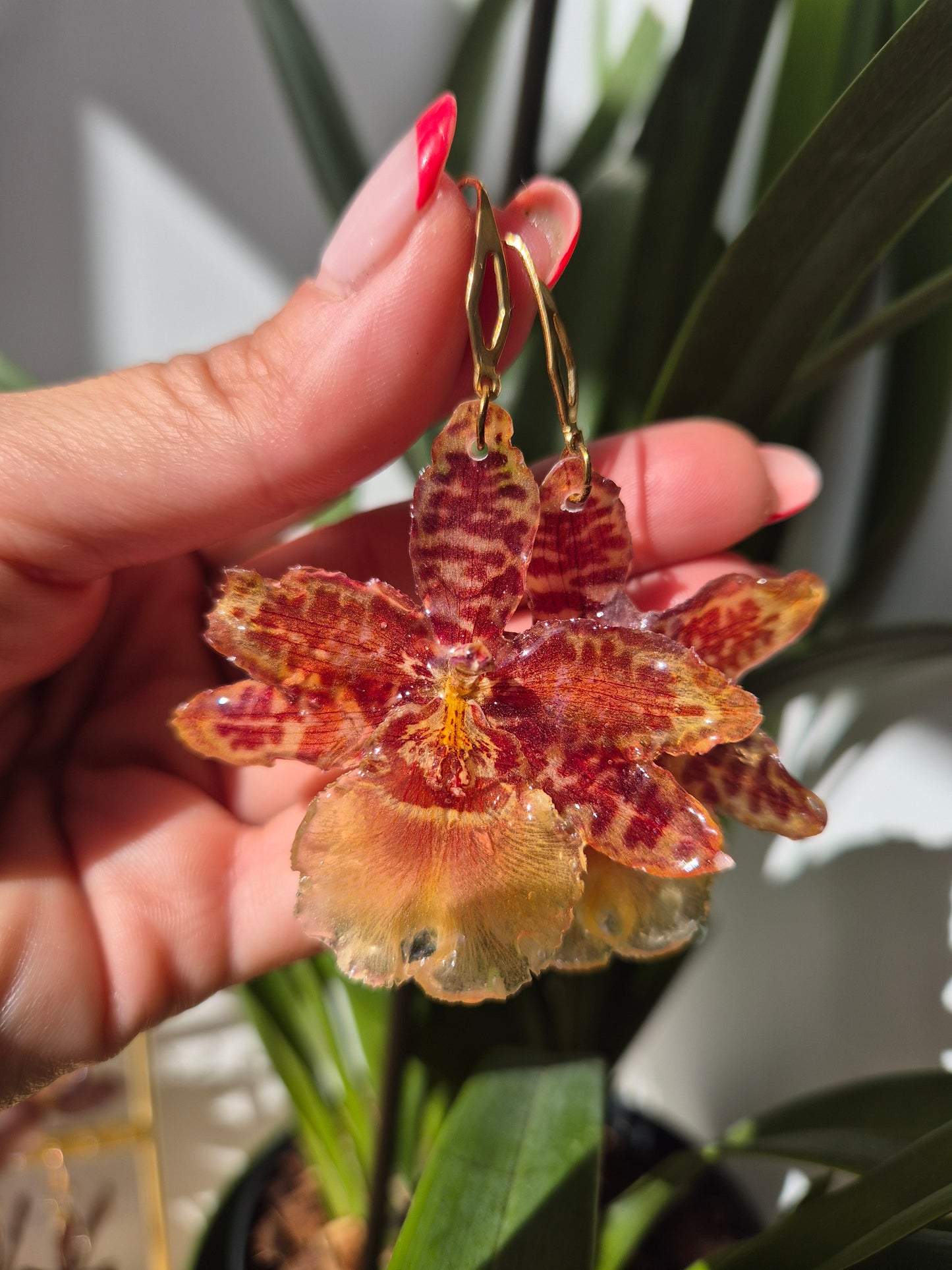 Pendientes orquídea Cambria