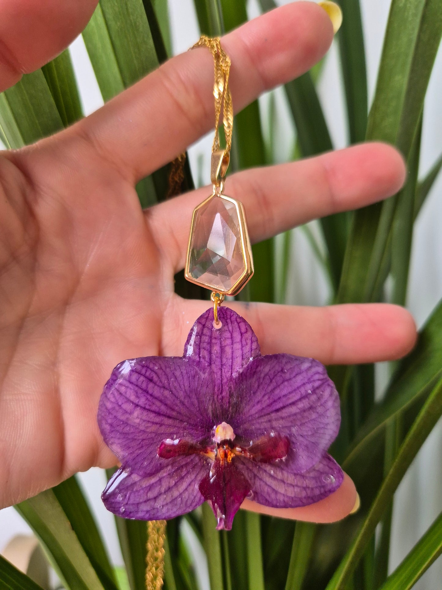 Colgante orquidea Phalaenopsis