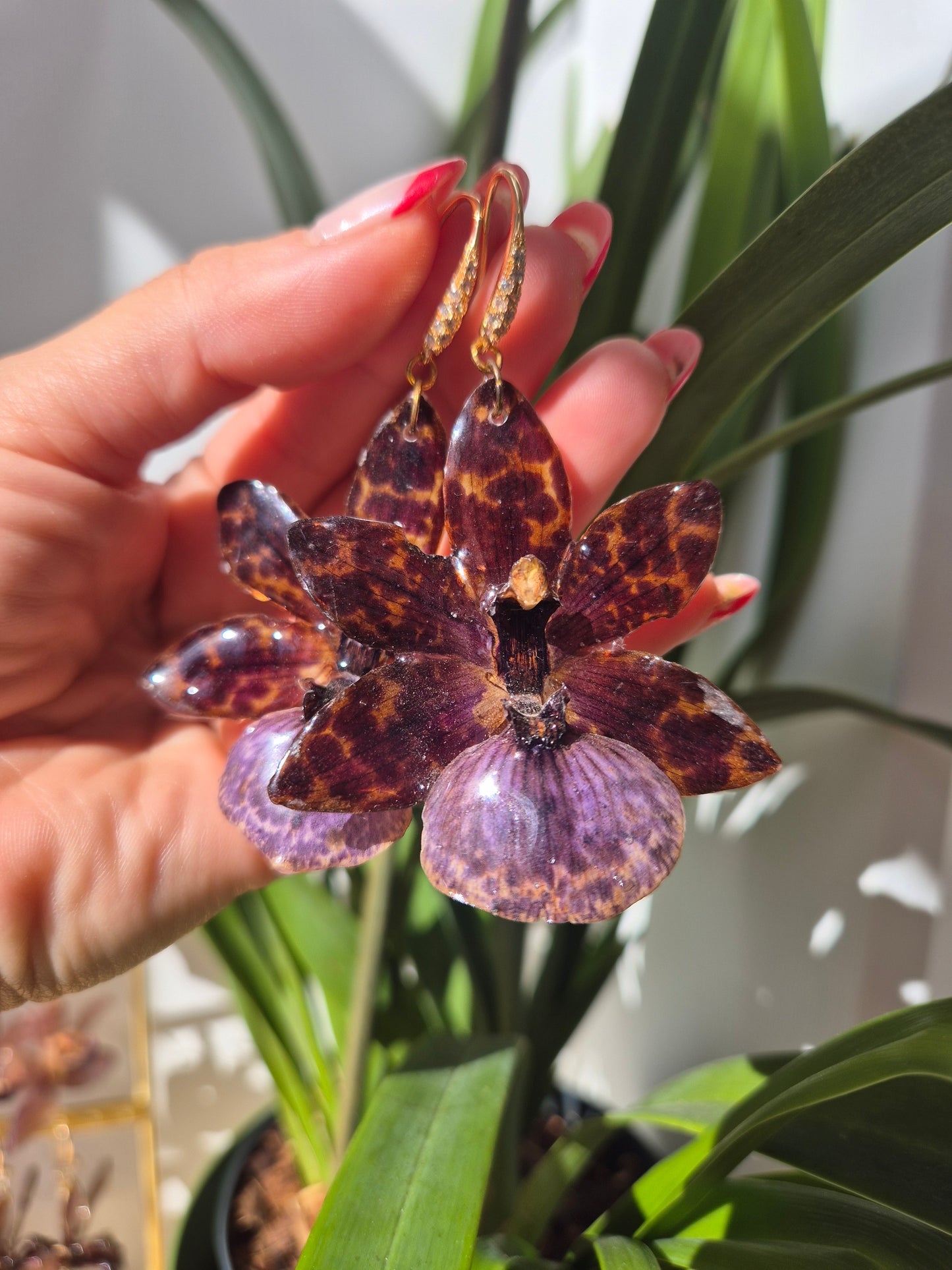Pendientes orquídea Zygopetalum