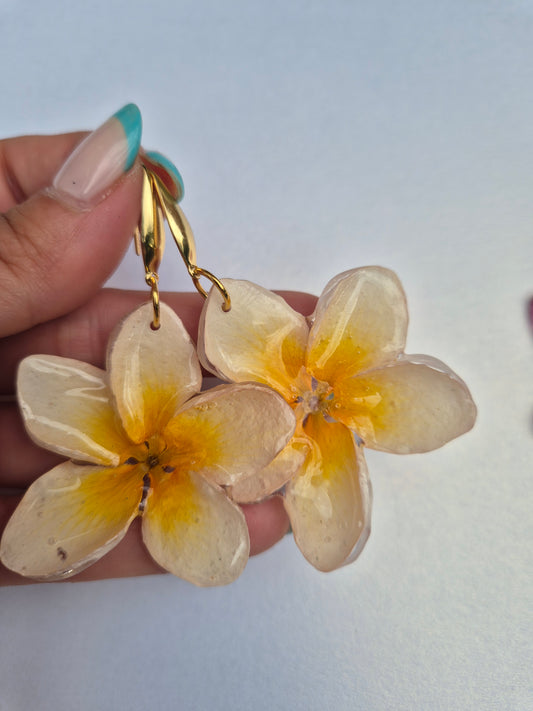 Pendientes plumeria