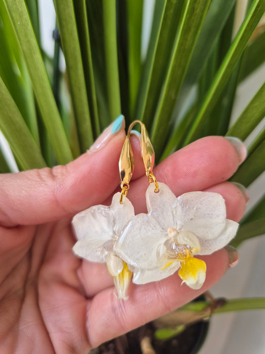 Pendientes orquidea mini