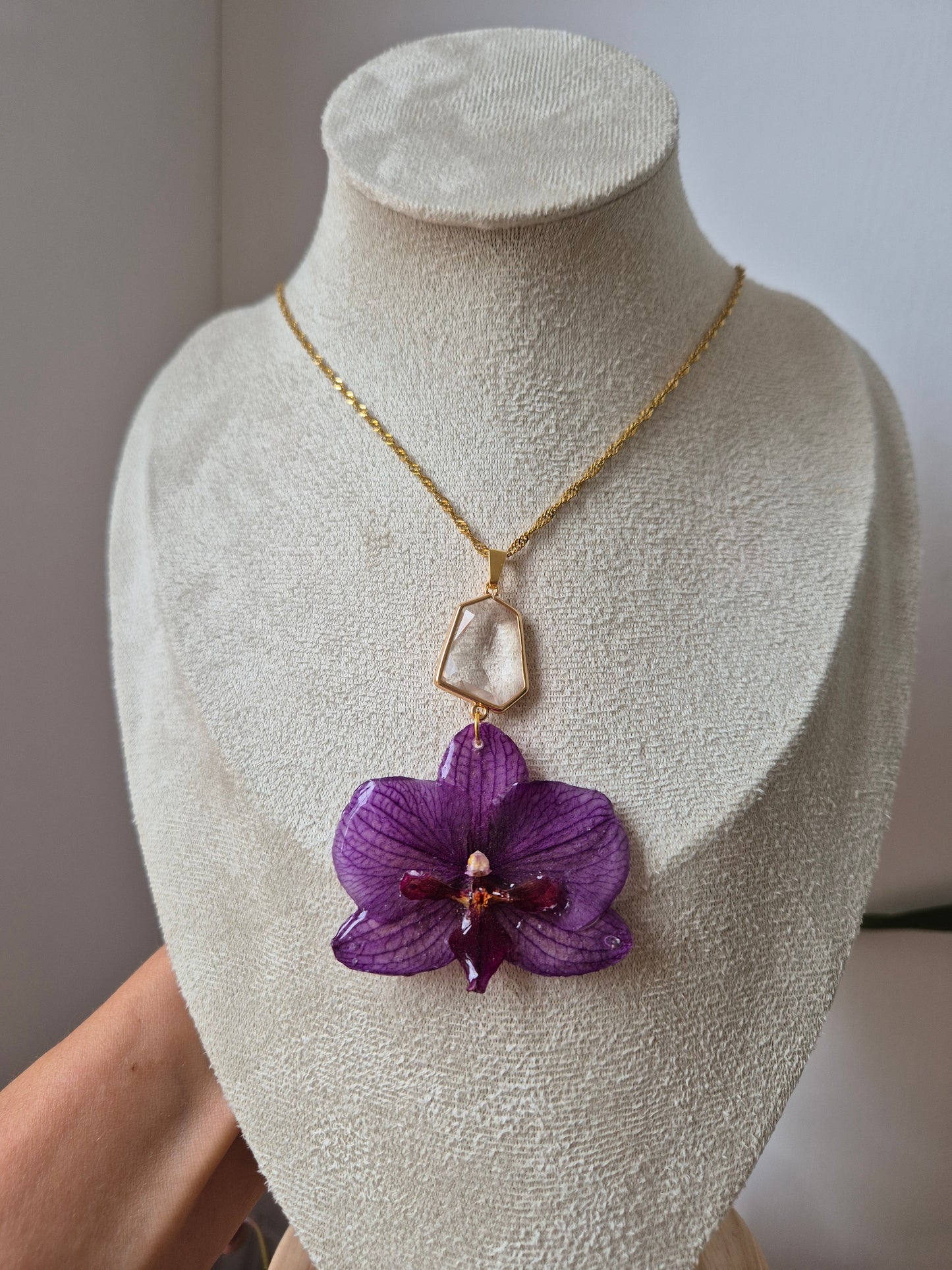 Colgante orquidea Phalaenopsis