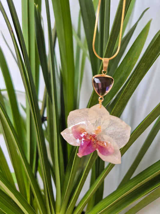 Colgante orquidea Phalaenopsis