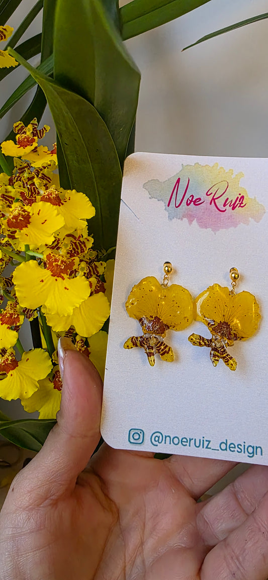 Pendinentes orquidea Oncidium mini
