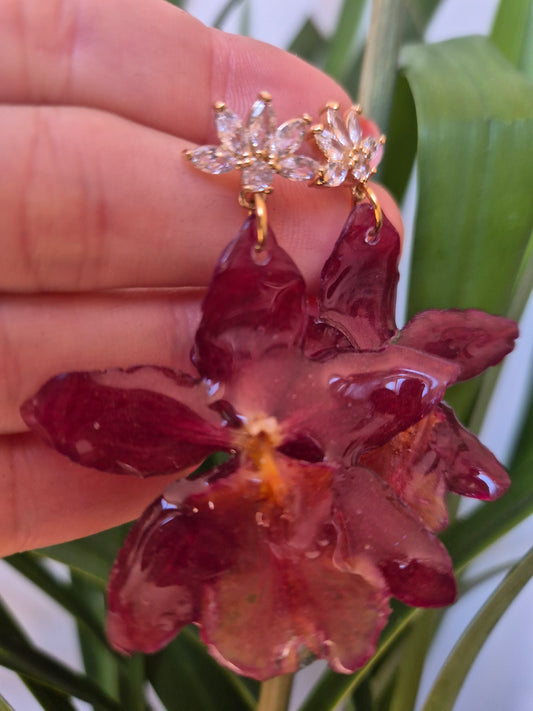 Pendientes orquidea cambria