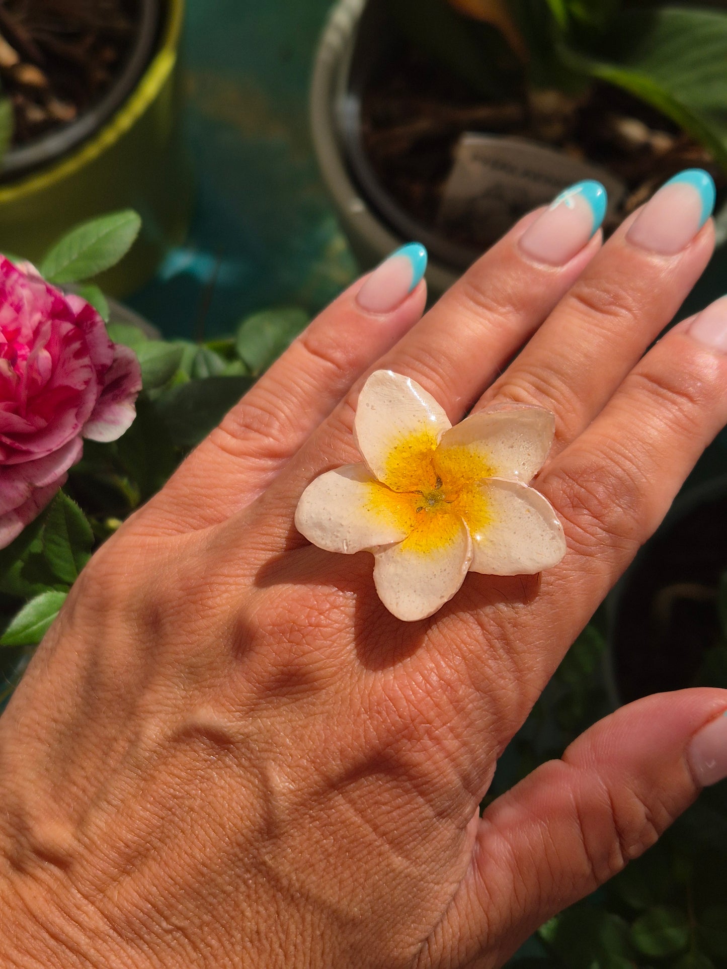 Anillo plumeria blanca
