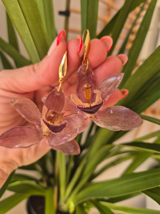 Pendientes orquidea Cymbidium