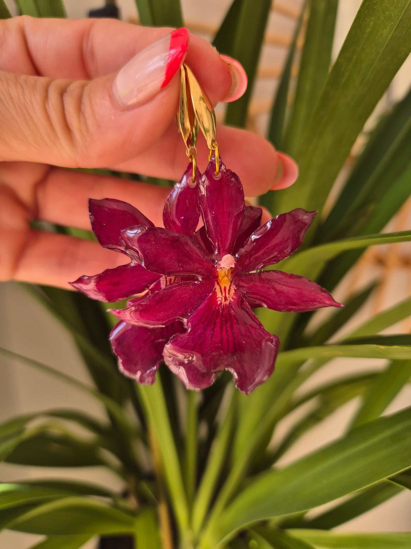 Pendientes orquidea cambria