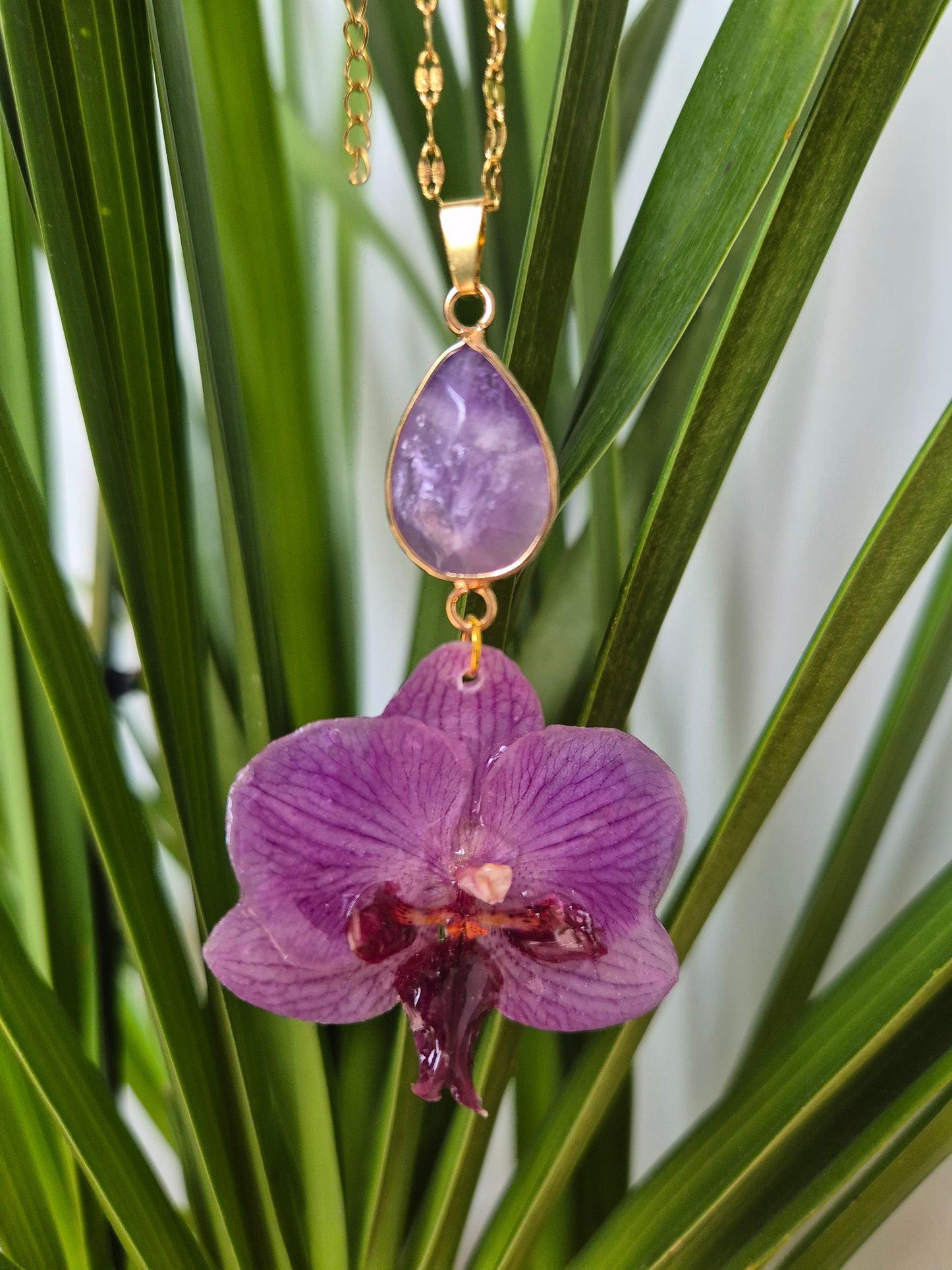 Colgante orquidea Phalaenopsis