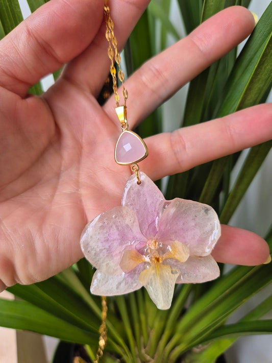 Colgante orquidea Phalaenopsis