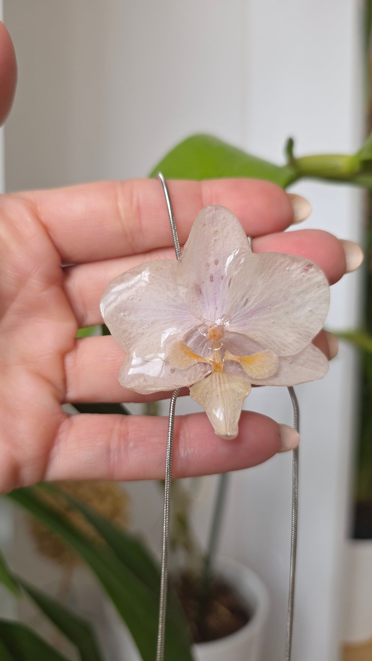 Collar regulable de orquidea.