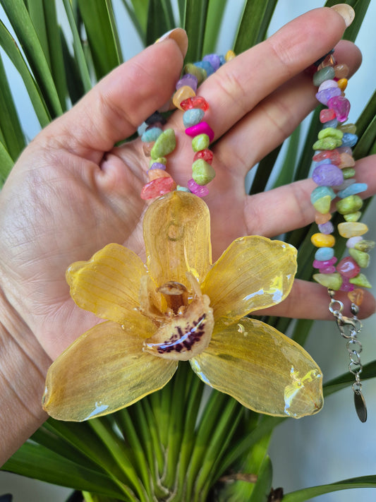 Colgante orquidea cymbidium amarilla