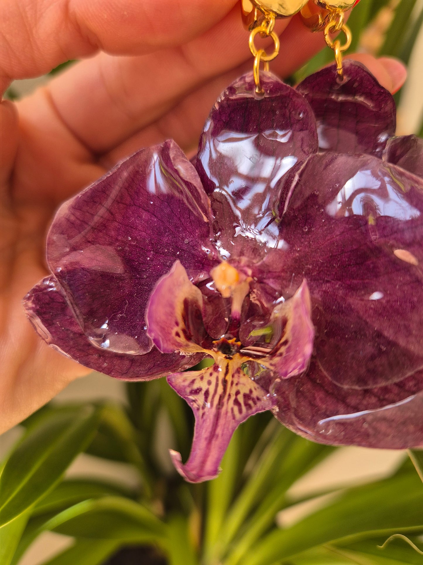 Pendientes orquidea Phalaenopsis