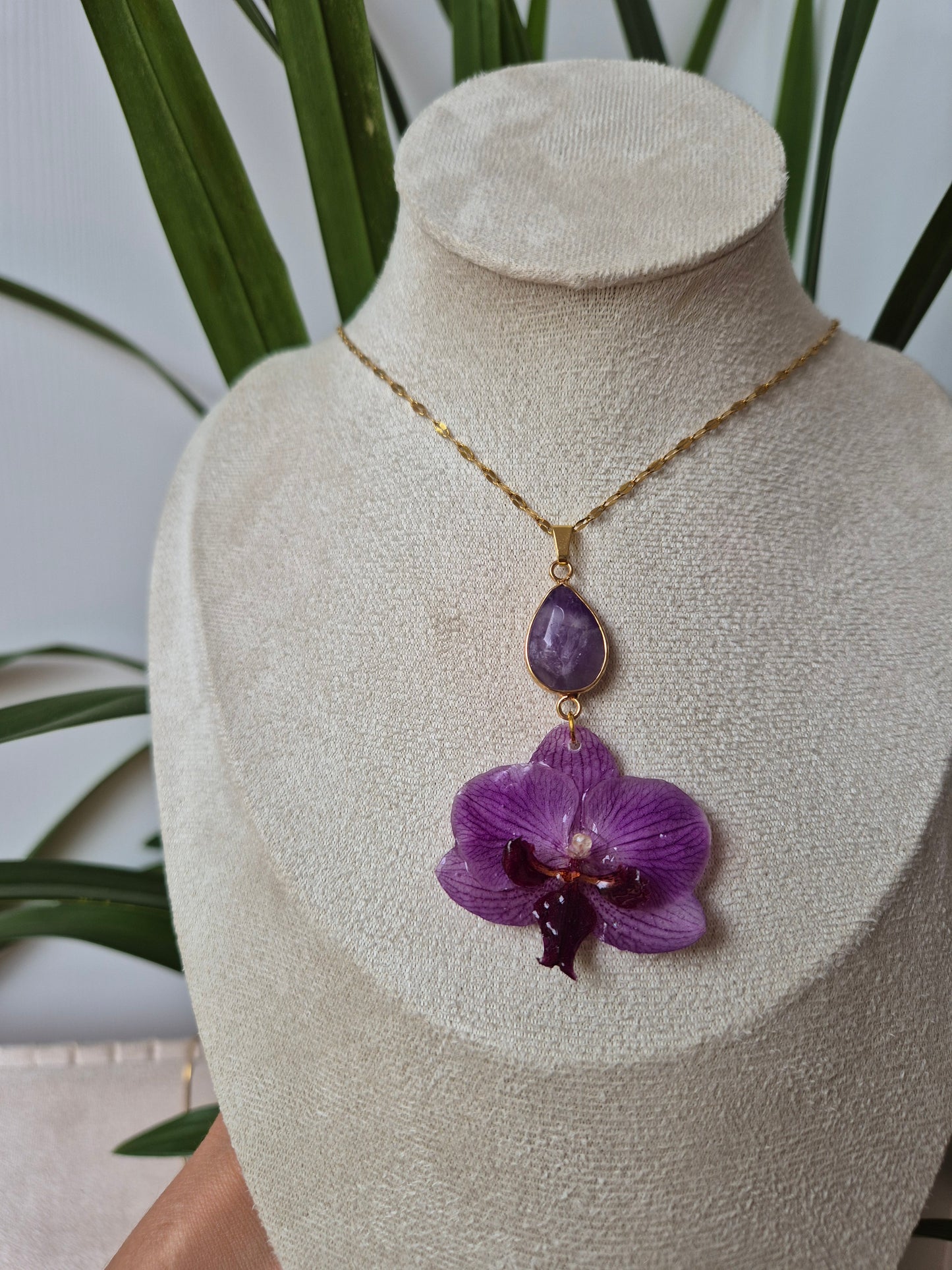 Colgante orquidea Phalaenopsis
