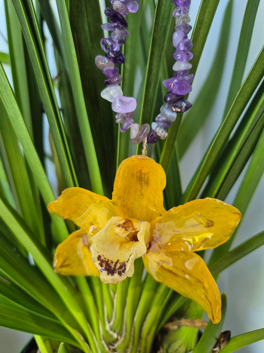 Colgante orquidea cymbidium amarilla