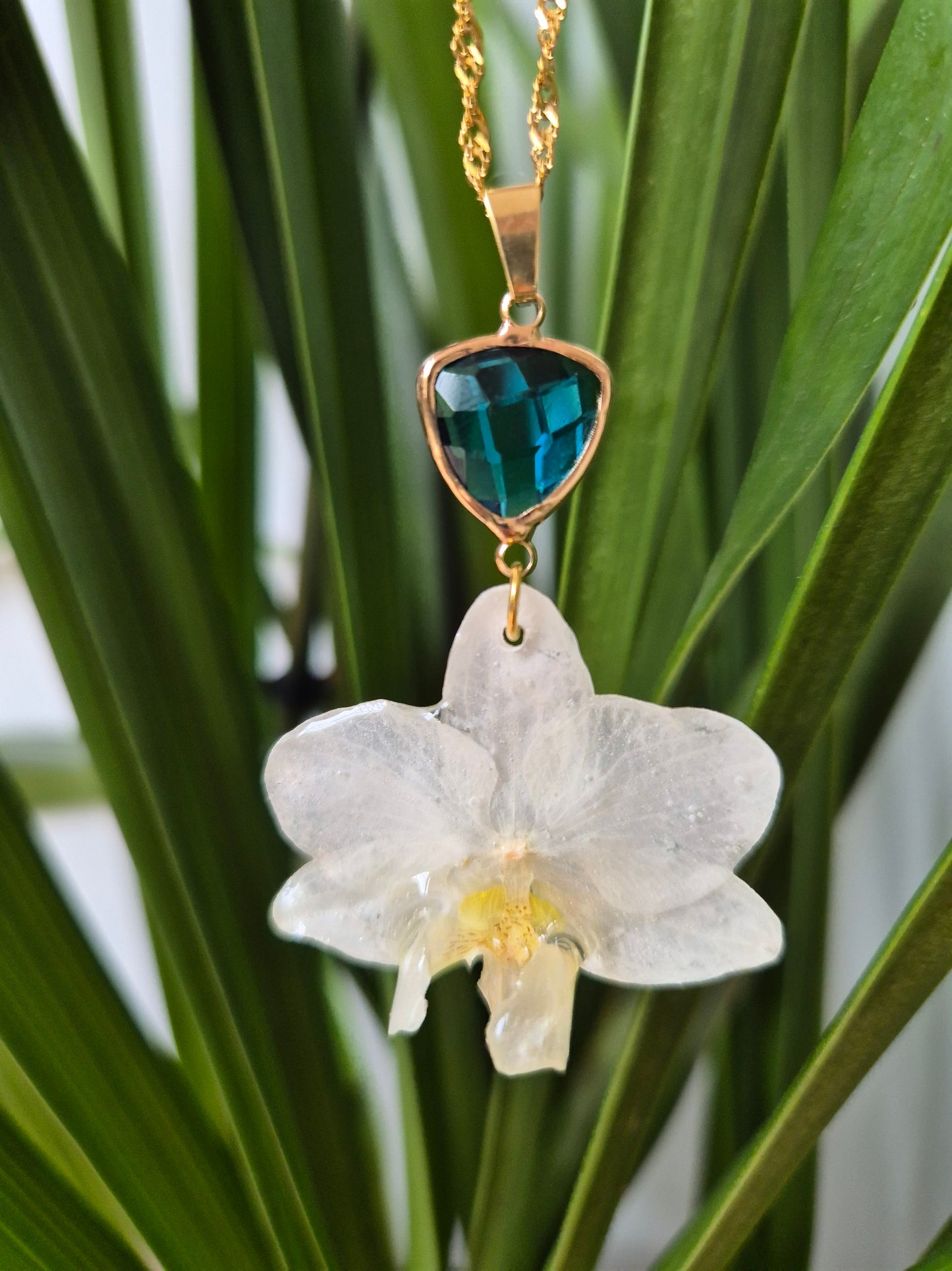 Colgante orquidea Phalaenopsis