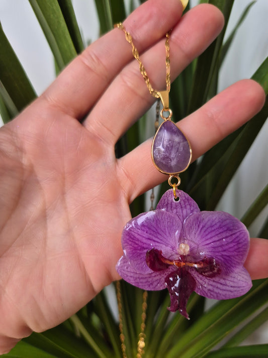 Colgante orquidea Phalaenopsis