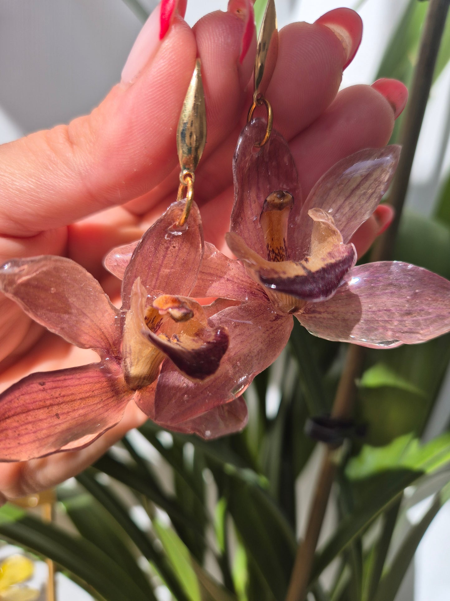 Pendientes orquidea Cymbidium