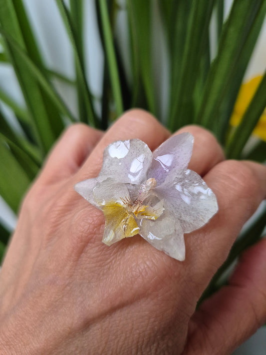 Anillo ajustable orquídea Phalaenopsis rosa