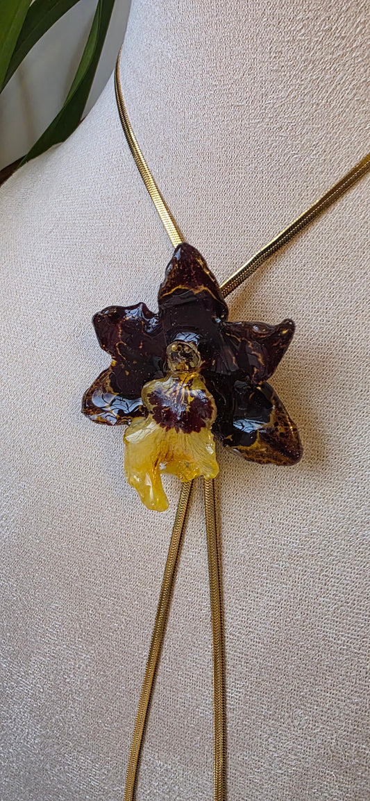 Collar regulable de orquidea Colmanara
