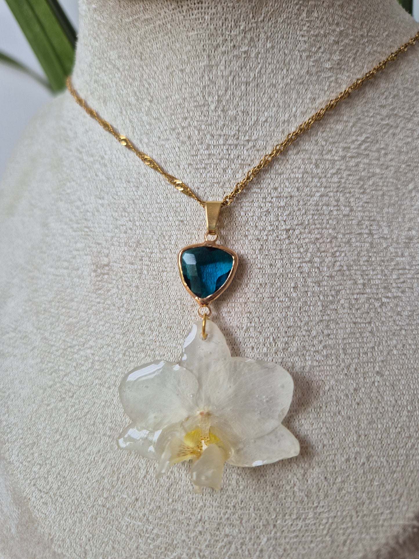 Colgante orquidea Phalaenopsis