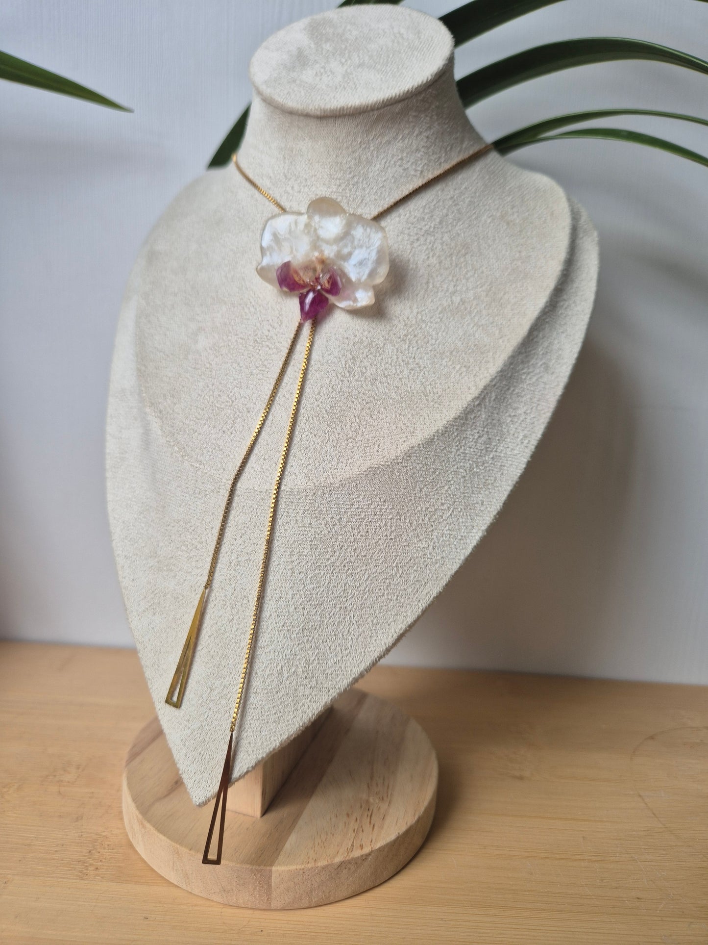 Colgante regulable de orquídea Phalaenopsis