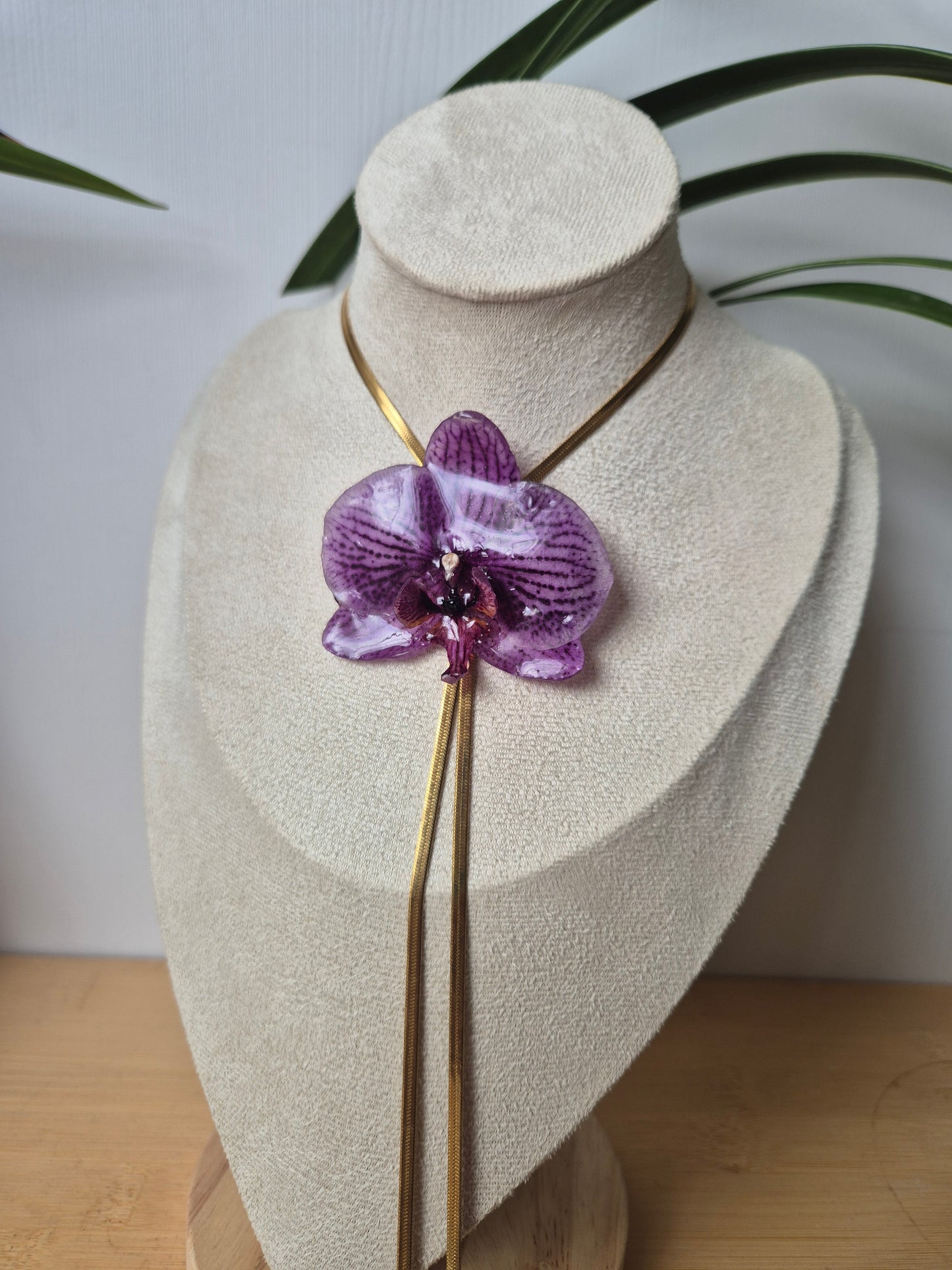 Colgante regulable de orquídea Phalaenopsis