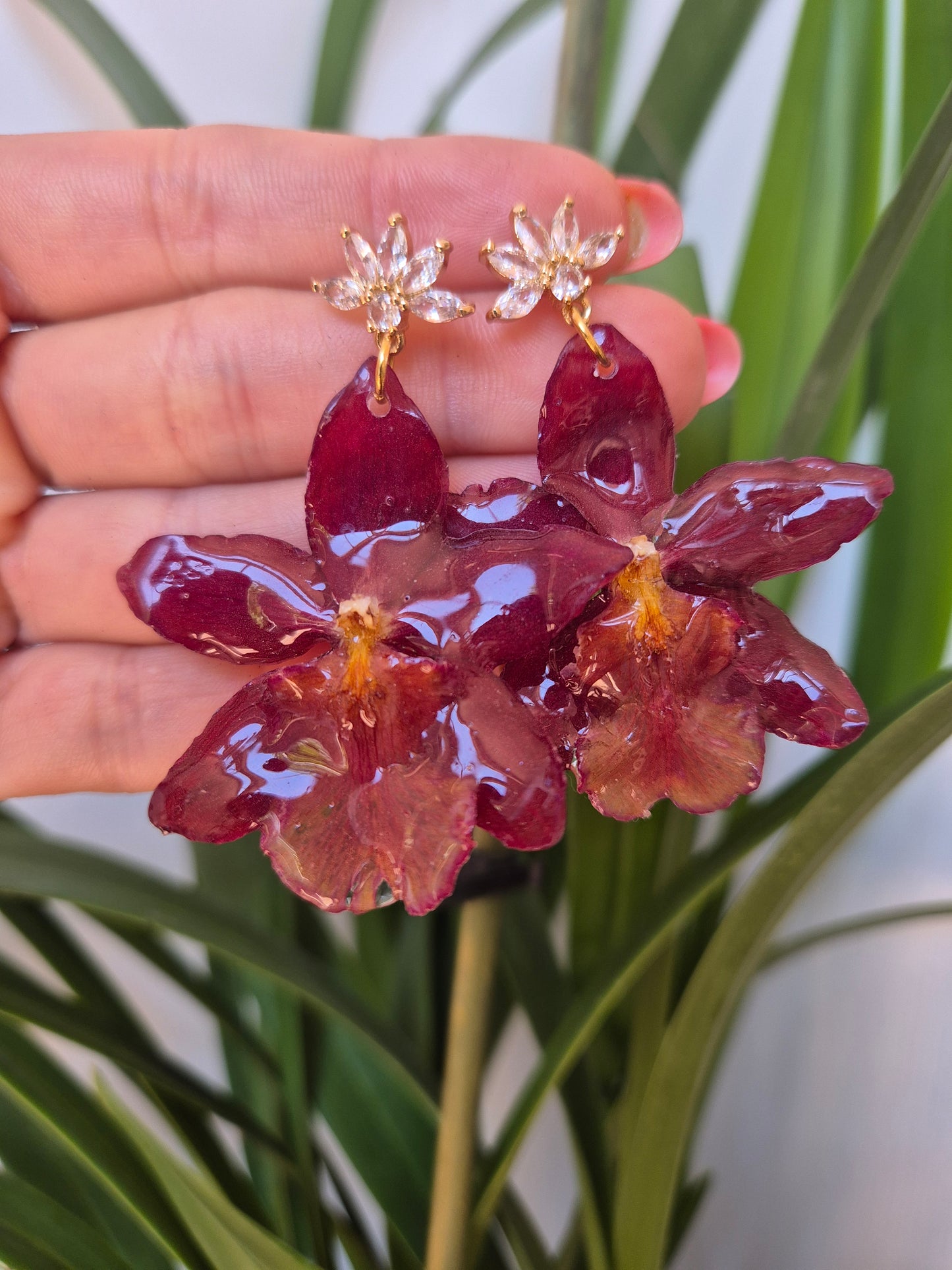Pendientes orquidea cambria