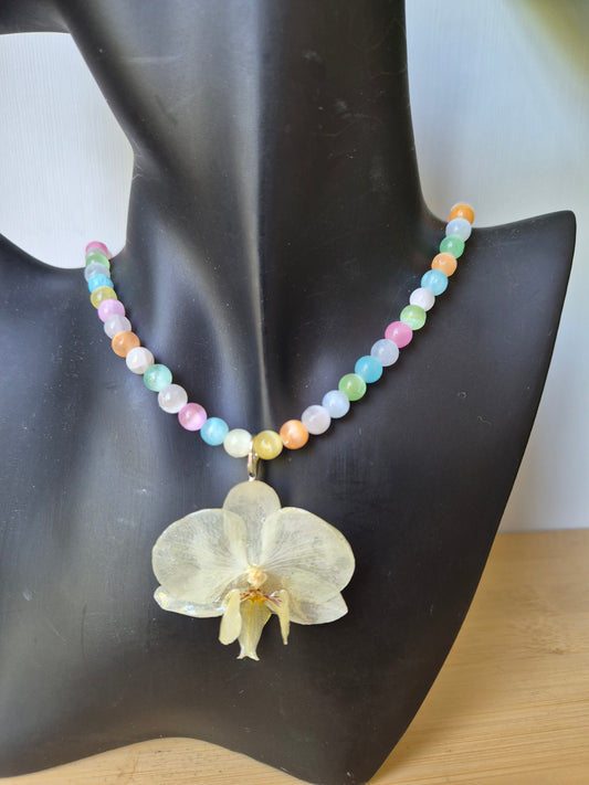 Colgante orquídea Phalaenopsis blanca