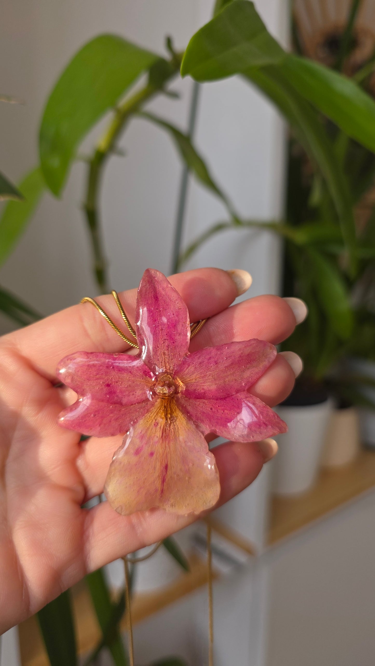 Collar regulable de orquidea.