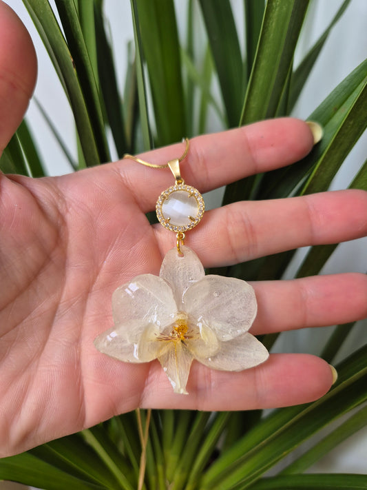 Colgante orquidea Phalaenopsis