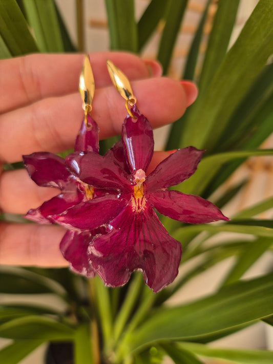 Pendientes orquidea cambria