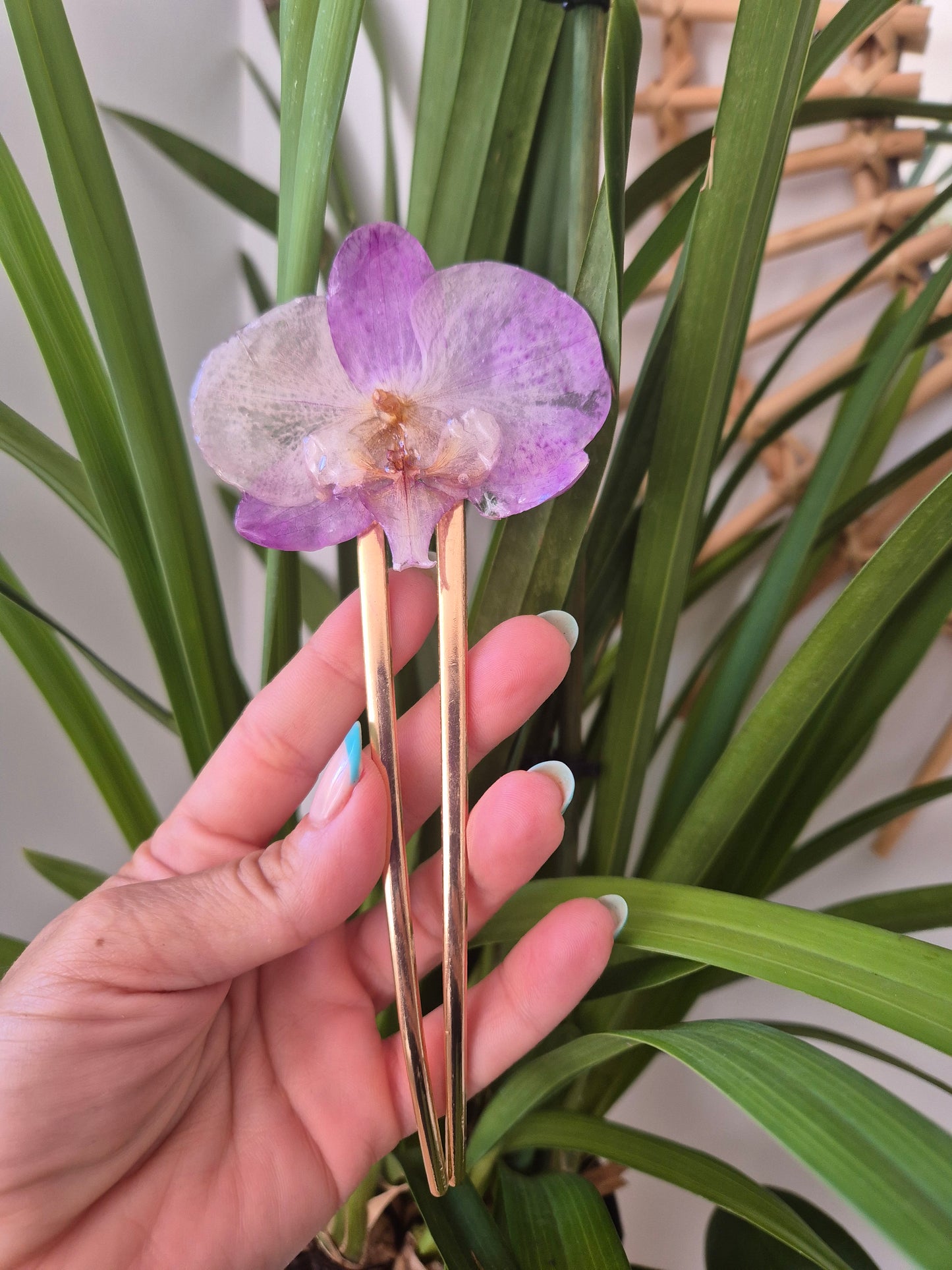 Horquilla de orquidea real