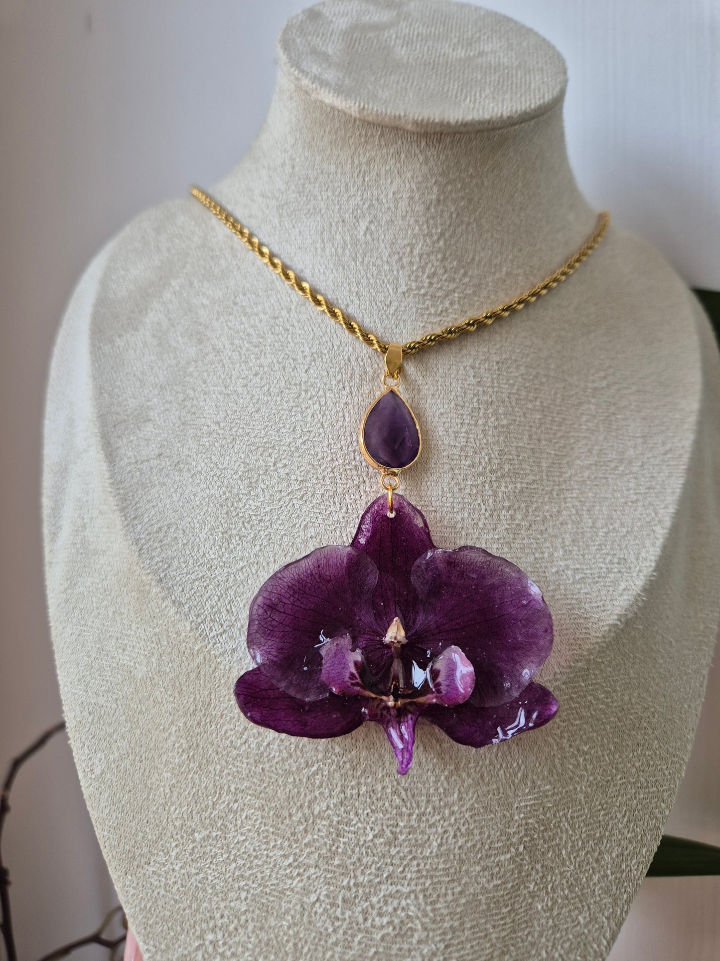 Colgante orquidea Phalaenopsis