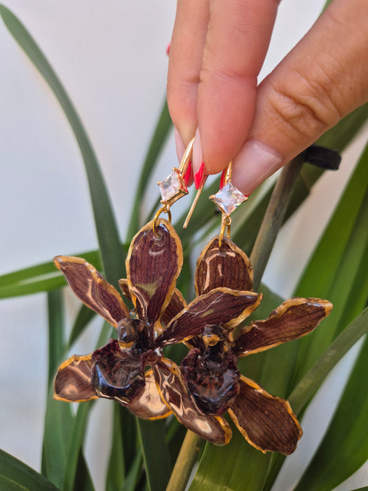 Pendientes orquidea Cymbidium