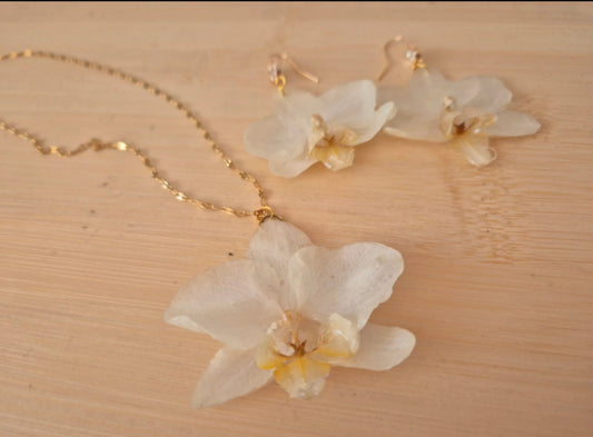 Conjunto orquídea blanca