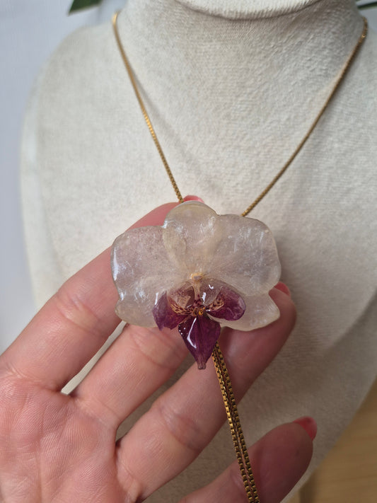 Colgante regulable de orquídea Phalaenopsis