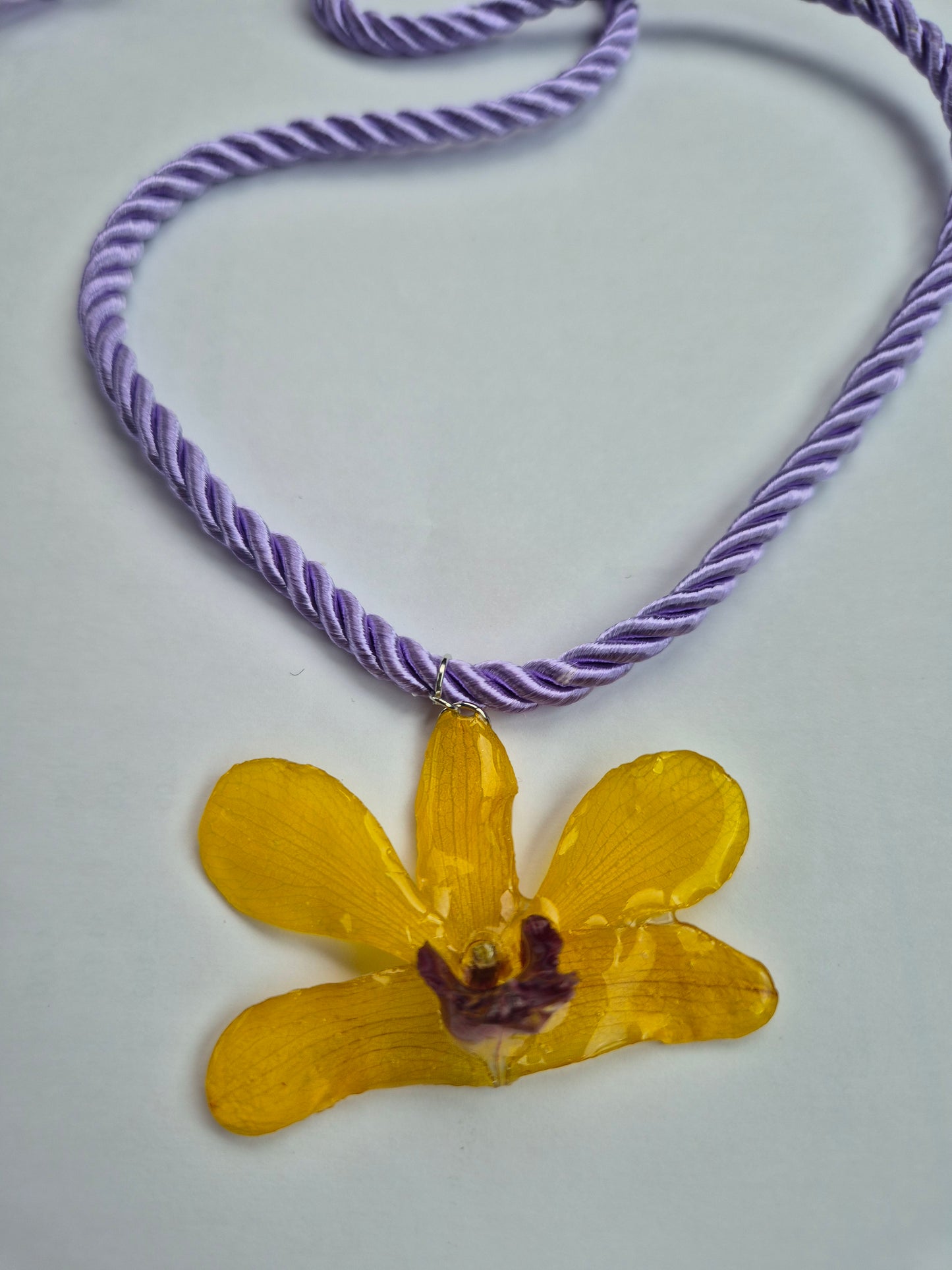 Colgante orquidea Dendrobium