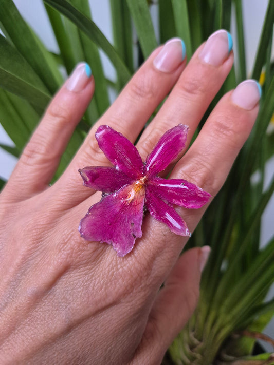 Anillo ajustable orquídea Cymbidium