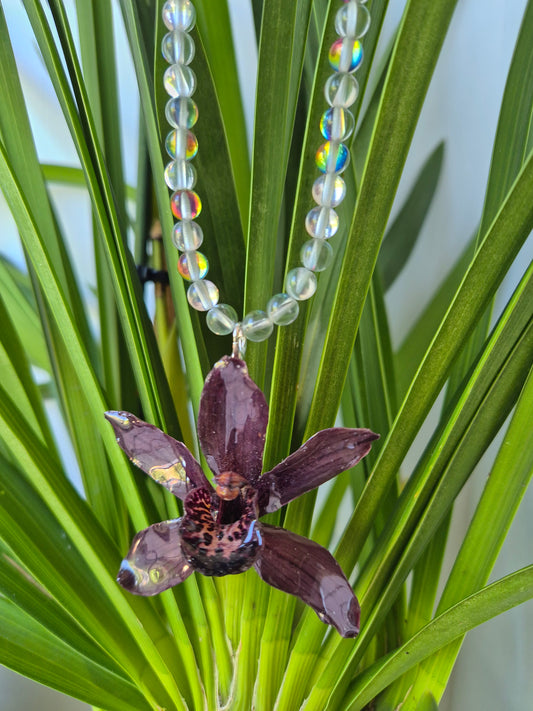 Colgante orquidea cymbidium marrón