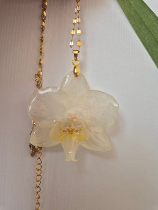 Colgante orquídea blanca