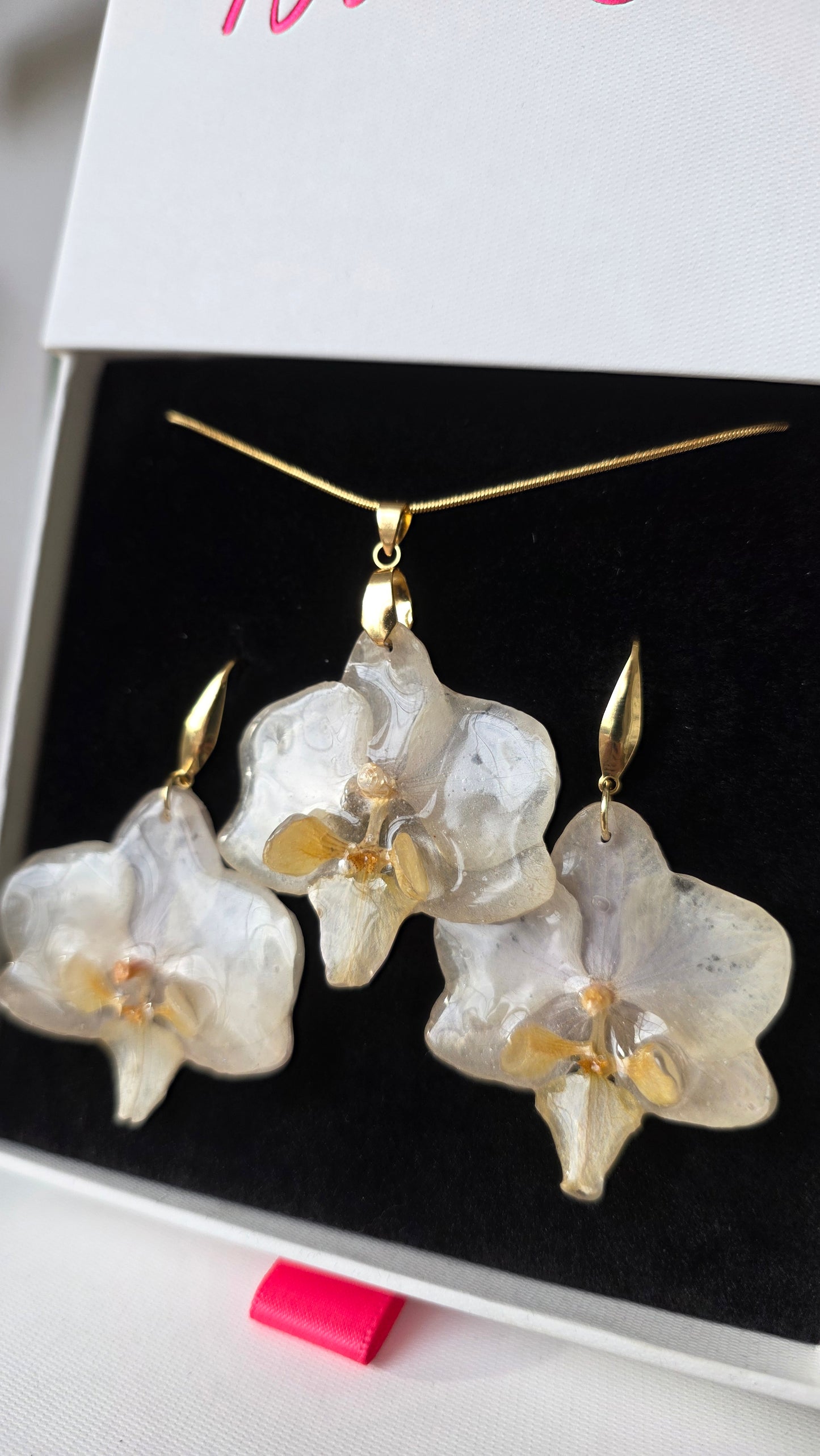 Conjunto orquidea Phalaenopsis