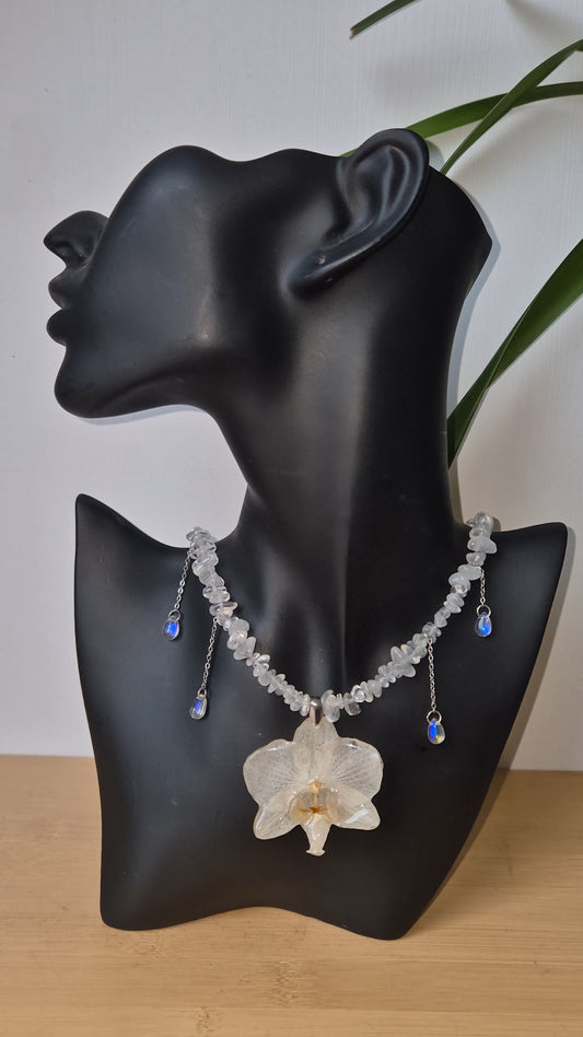 Colgante orquidea Phalaenopsis