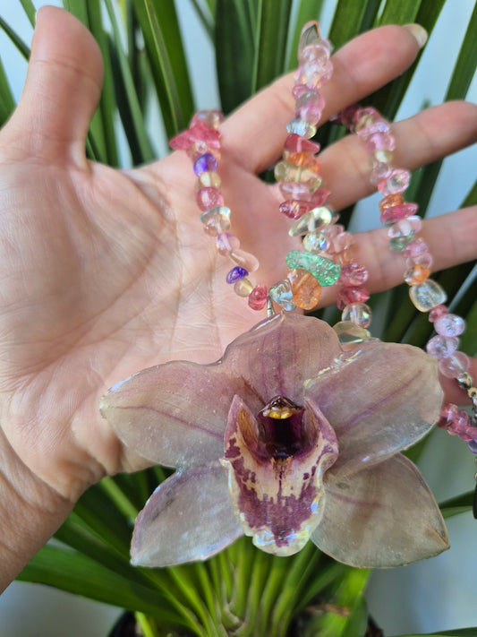 Colgante orquidea cymbidium rosa